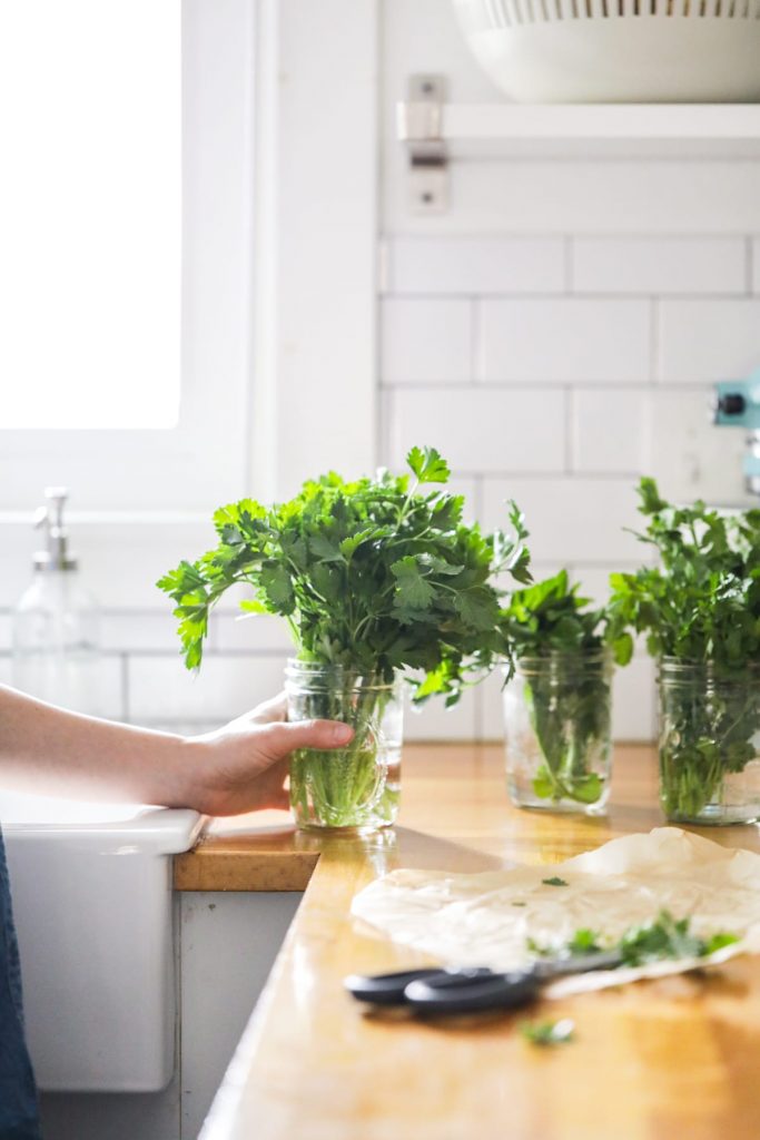 My Boho Chic Open Shelving Pantry for Superfoods, Herbs and Teas — Will  Frolic for Food