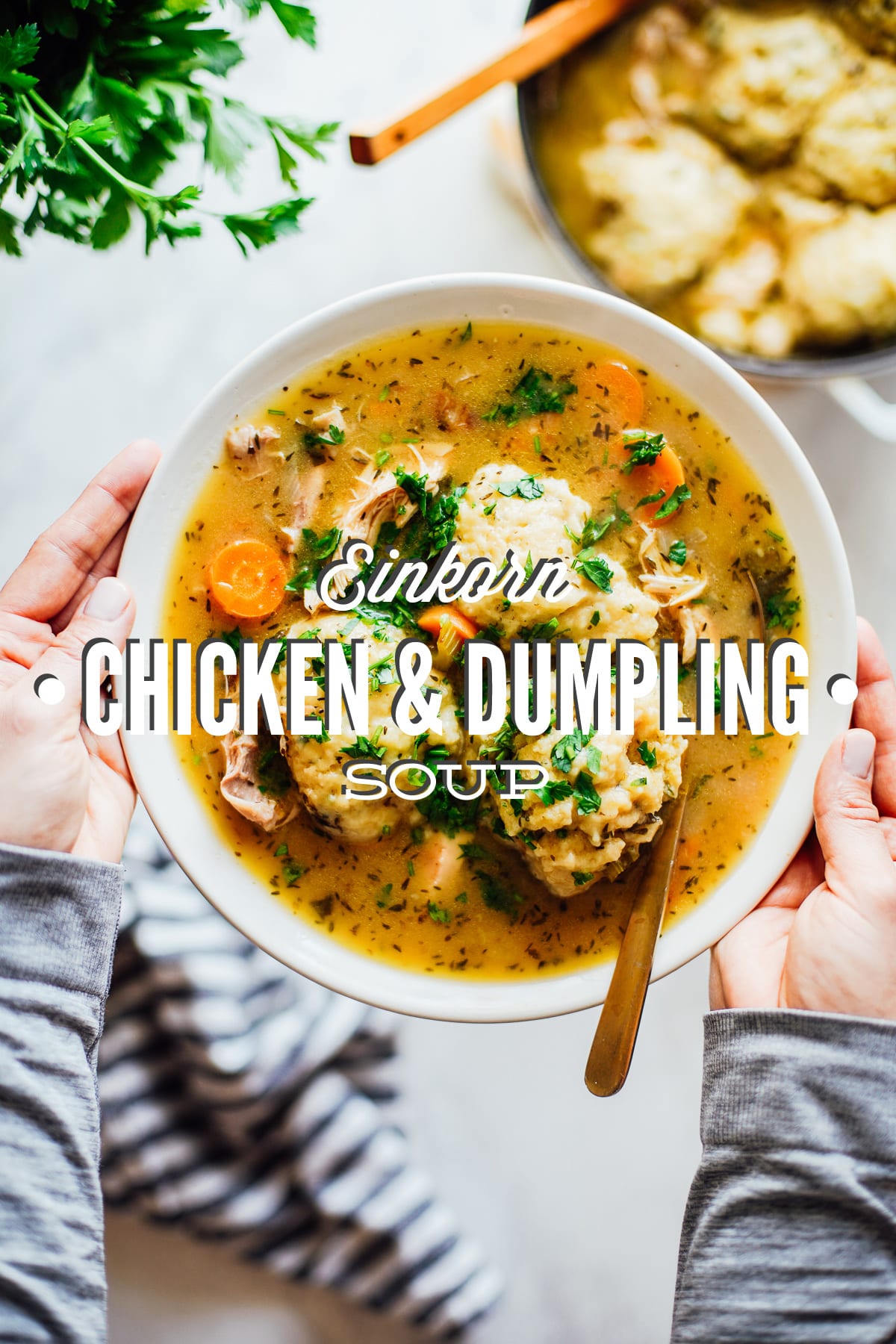 Homemade Einkorn Chicken and Dumpling Soup
