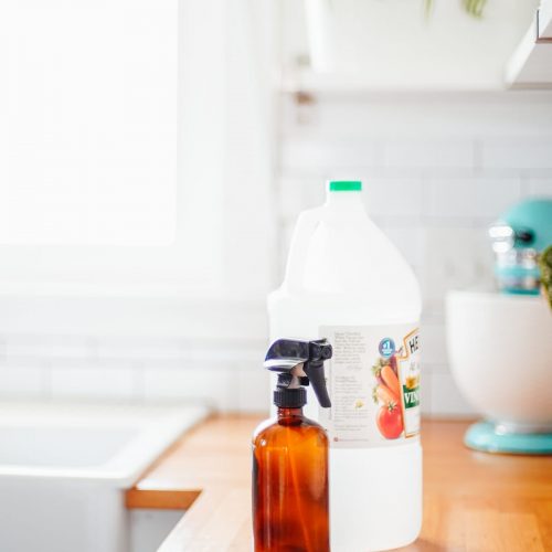 vinegar and spray bottle on kitchen counter
