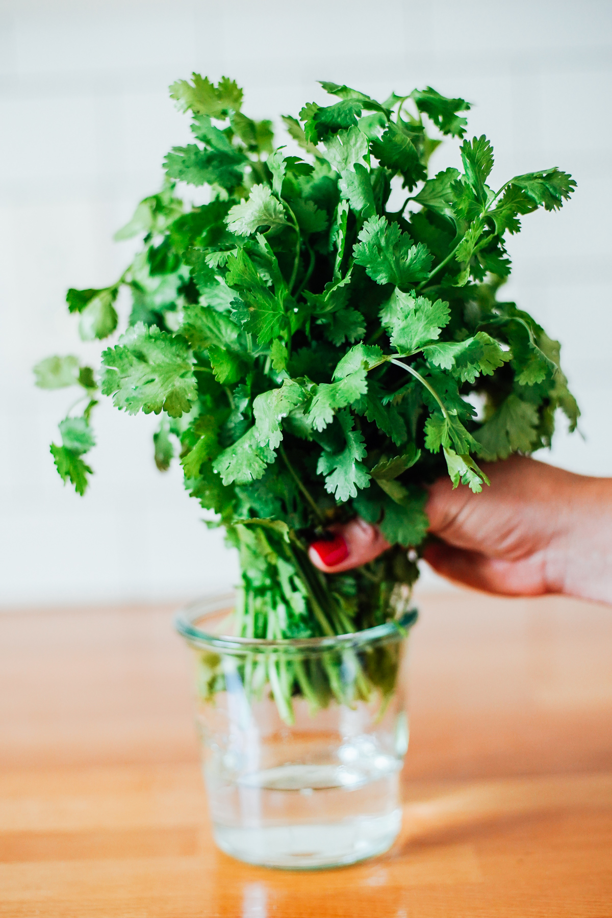 A bunch of cilantro being lowered into a glass mason jar with water.