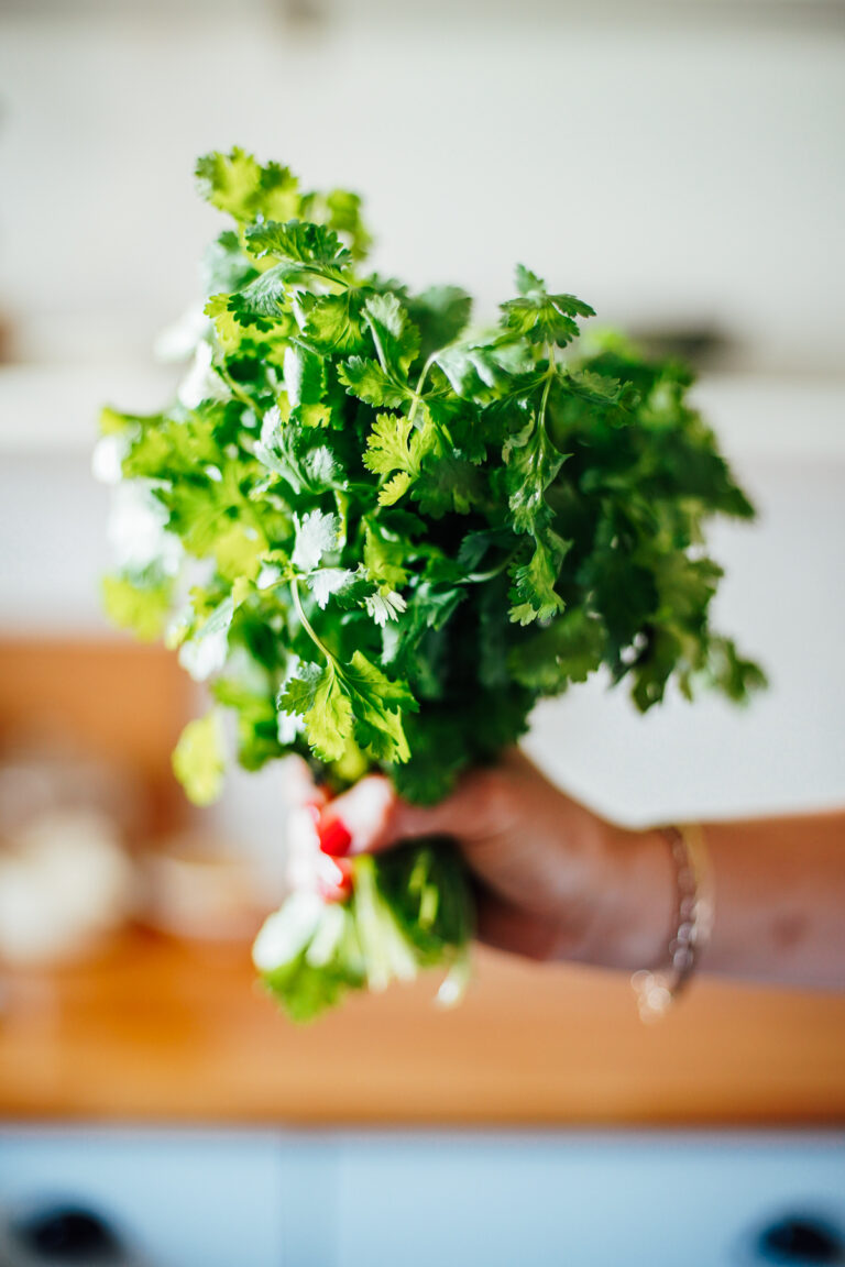 A bunch of cilantro in a person's hand in the kitchen.