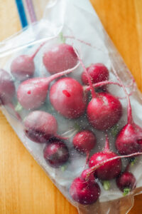 Red radishes in a plastic bag with a wet paper towel.