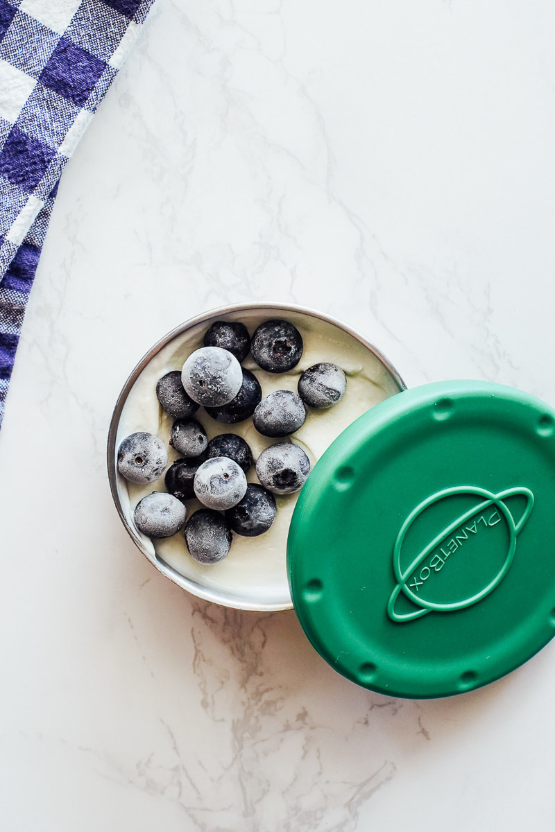 Yogurt and fruit in a stainless steel container.