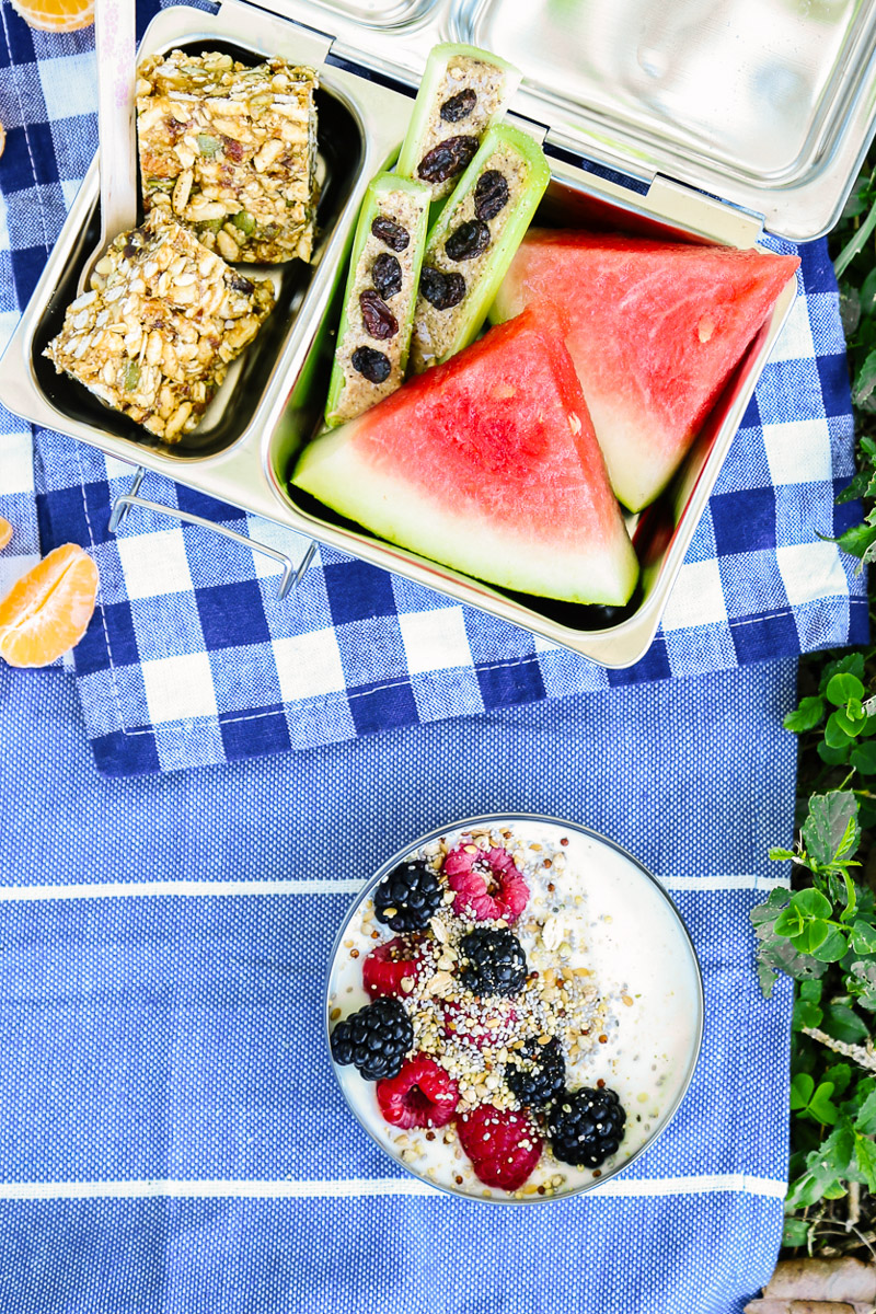 Healthy summer snacks on a blue picnic blanket. Yogurt, watermelon, ants on a log, and granola bars.