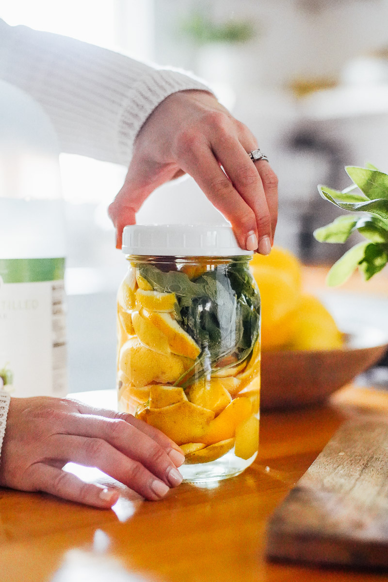 Citrus peels and sage in a glass mason jar infusing with vinegar.