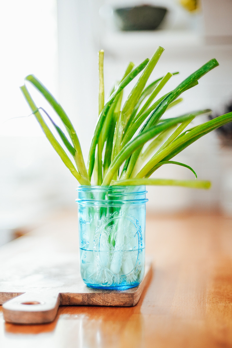 Green onions in a jar filled with water. 