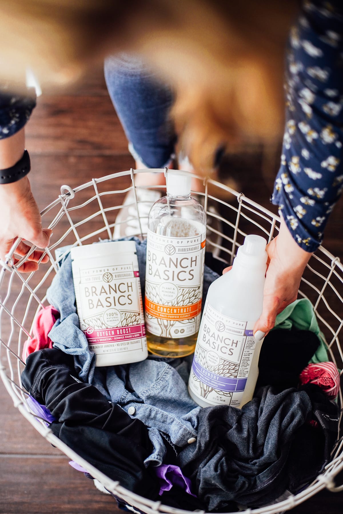 14 Best Natural and Non-Toxic Laundry Detergents - Live Simply