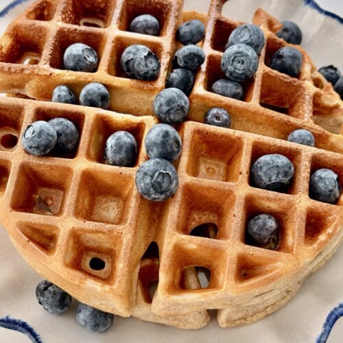 High Protein Waffles Recipe